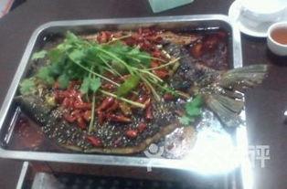 矮瓜成精吃烤鱼,烤鱼盛宴背后的奇幻之旅